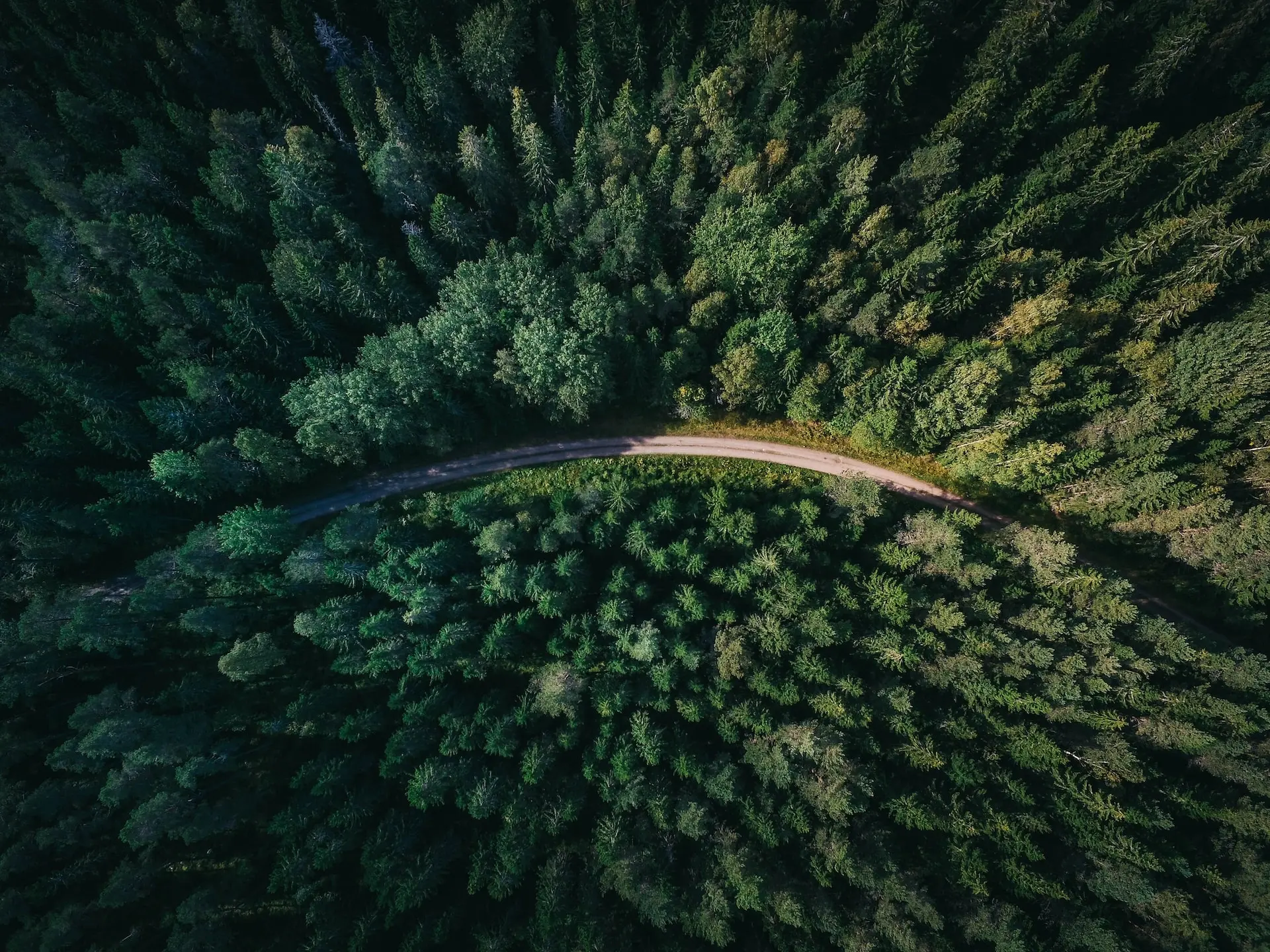 Aerial view of the Mackenzie Region forest