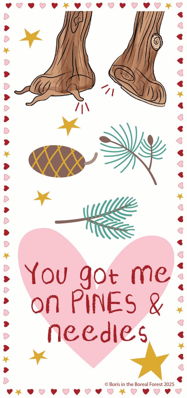 Boris Valentine's Day card